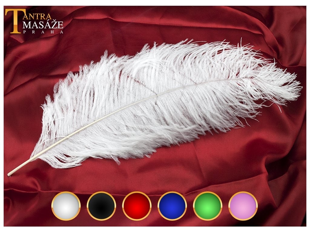 Pštrosí pírko ~60cm (různé barvy)